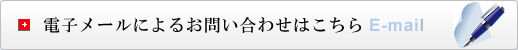 電子メールによるお問い合わせ